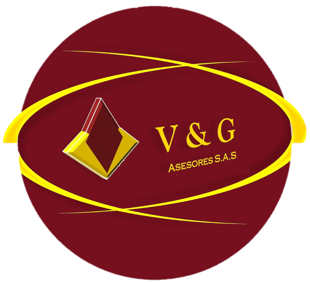VyGSoft BP