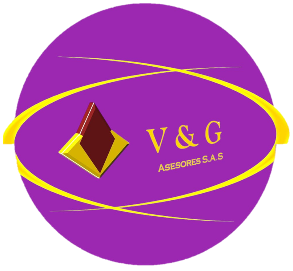 VyGSoft VU